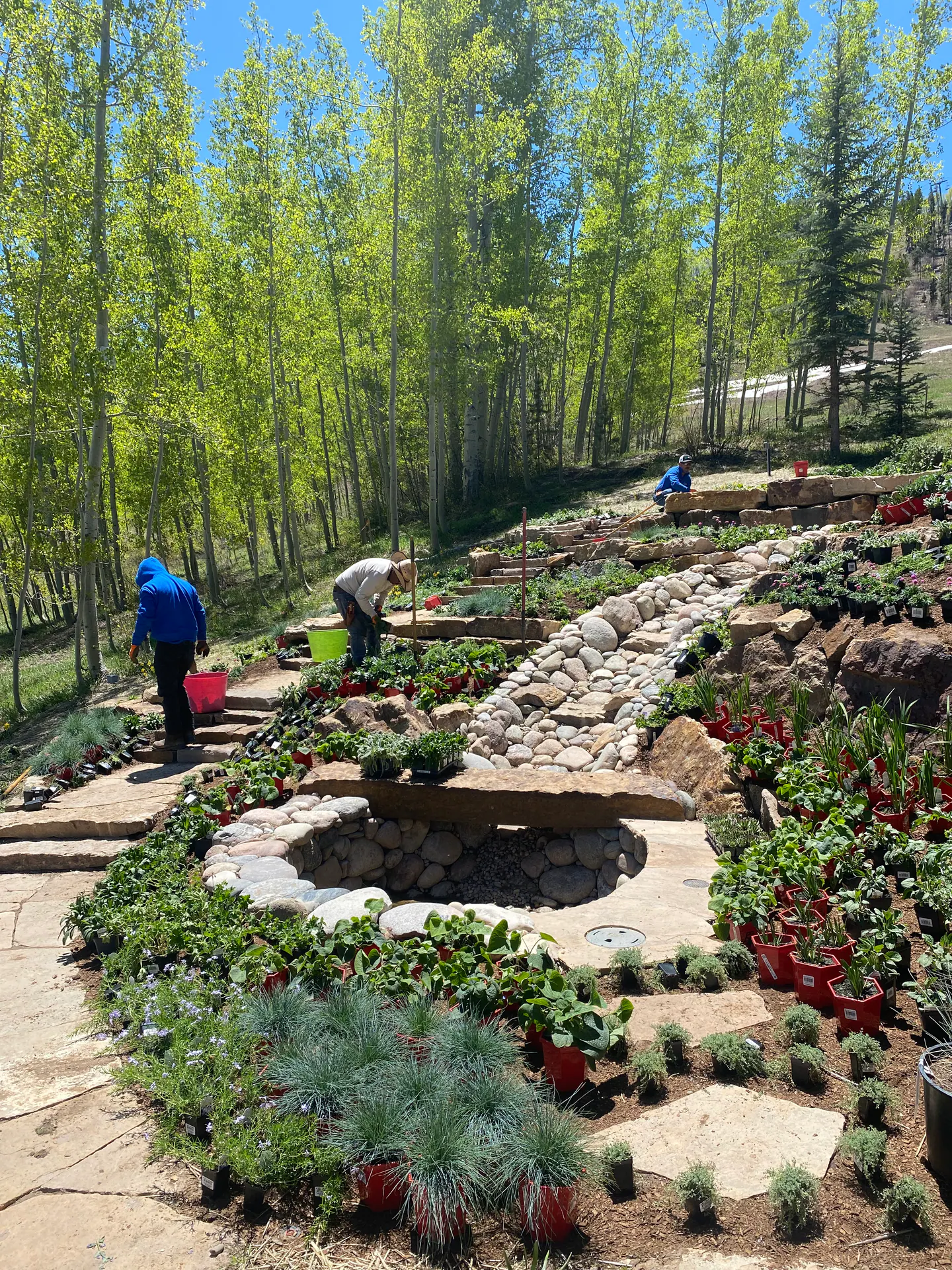 After — image 19 of 20