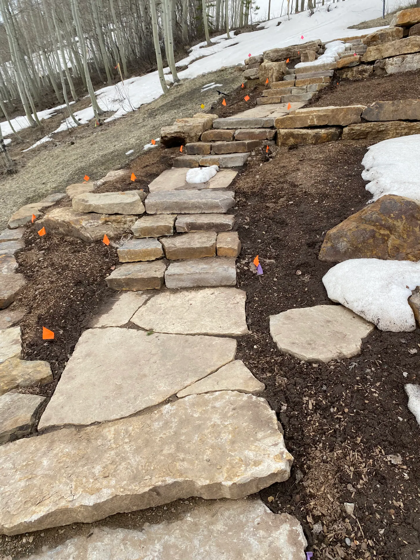 In process — image 1 of 5