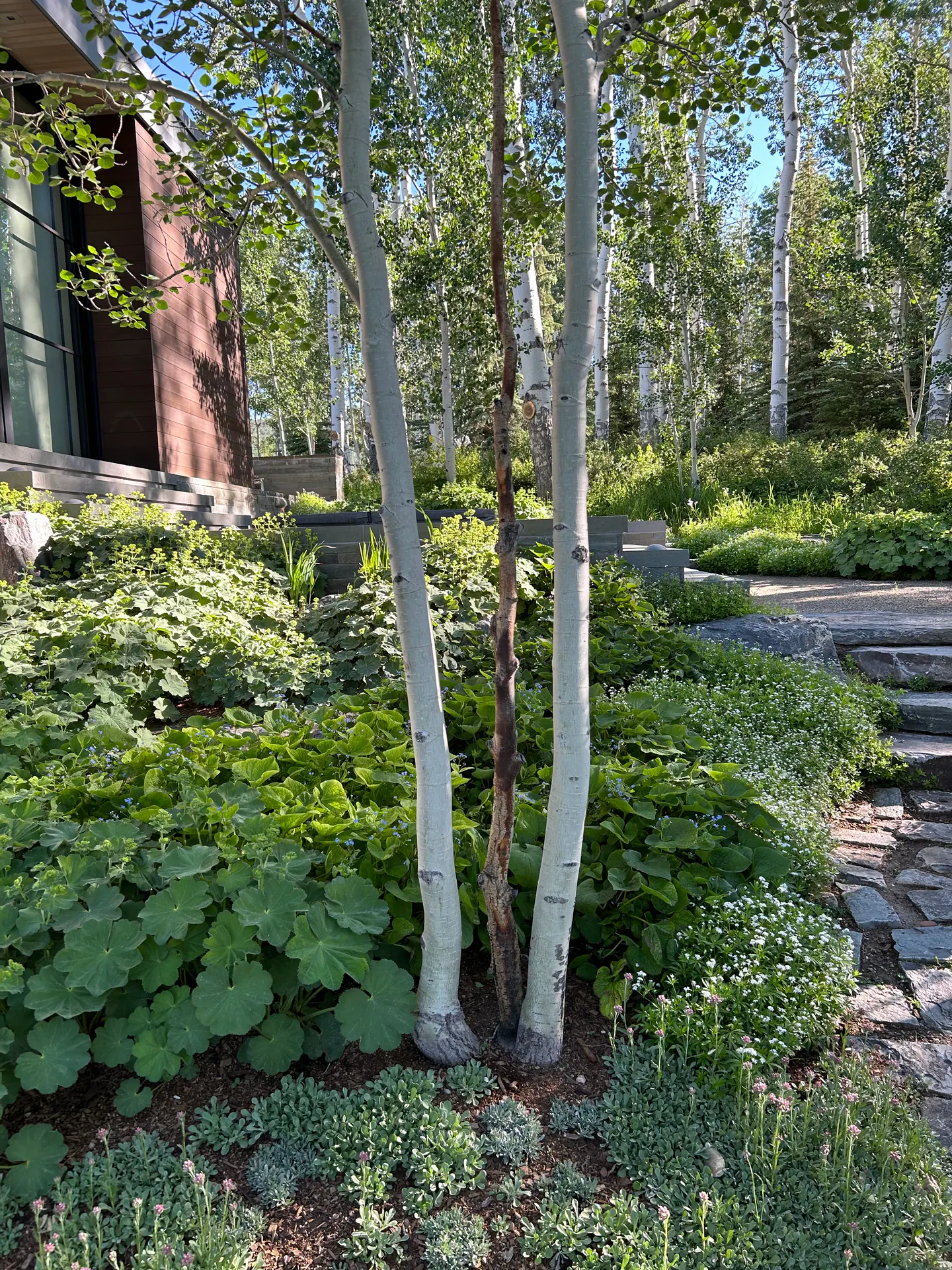 After — image 6 of 7