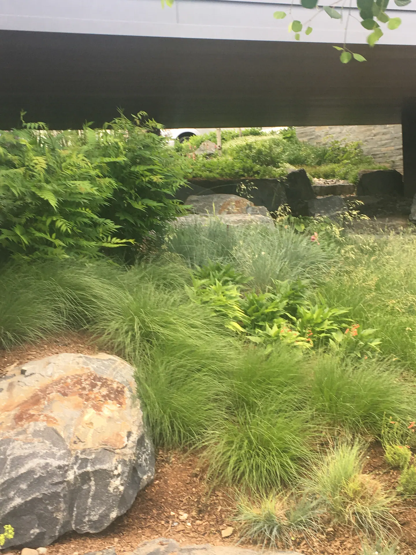 After — image 7 of 7
